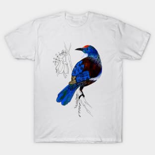 Tui - New Zealand bird T-Shirt